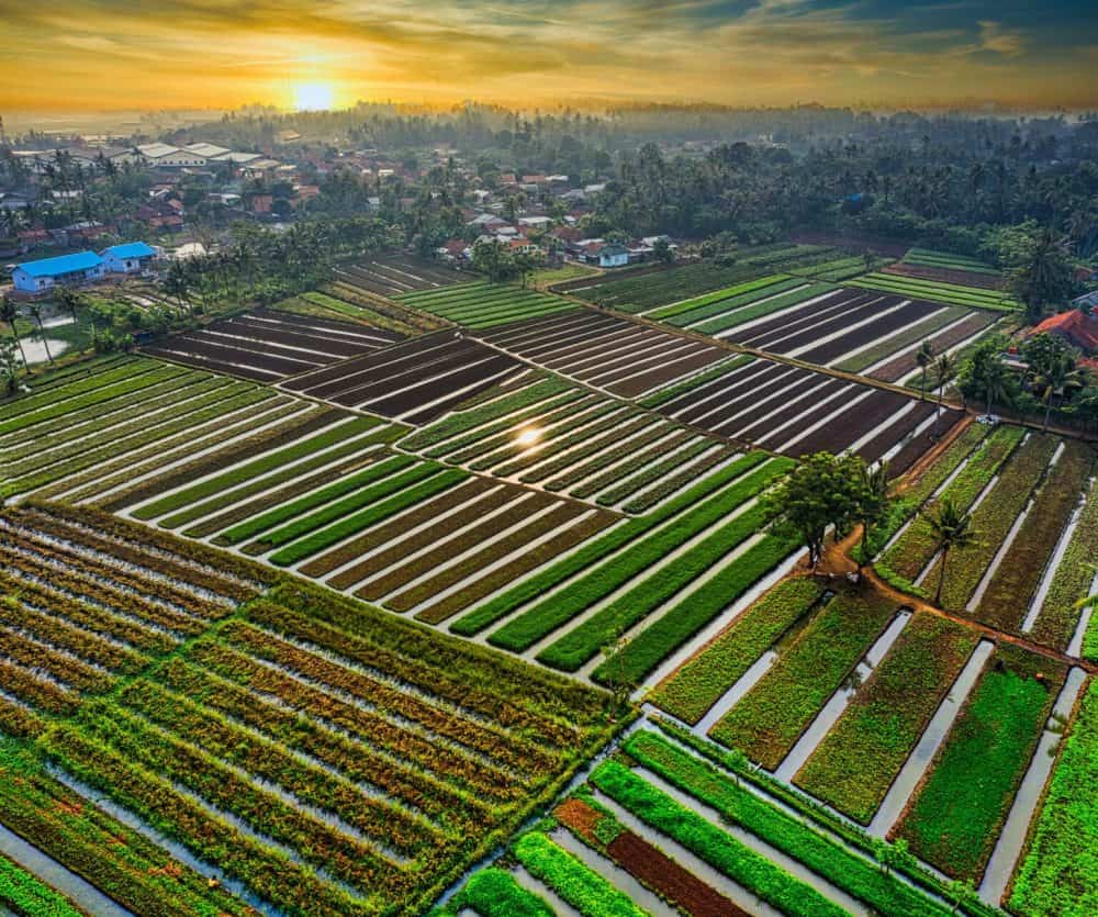 AgriSA reaffirms commitment to private property rights