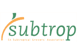 Subtrop