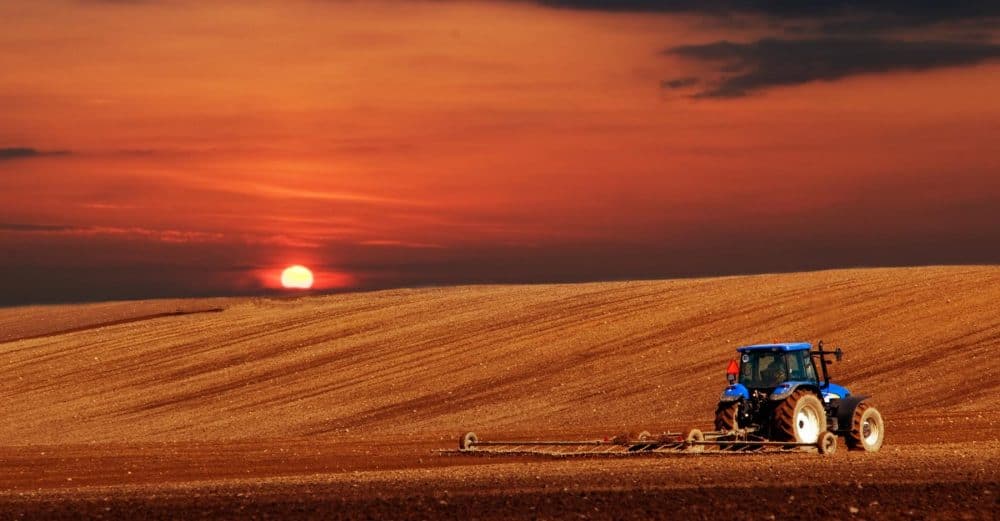 AgriSA-and-Agbiz-call-for-urgent-fuel-price-adjustment