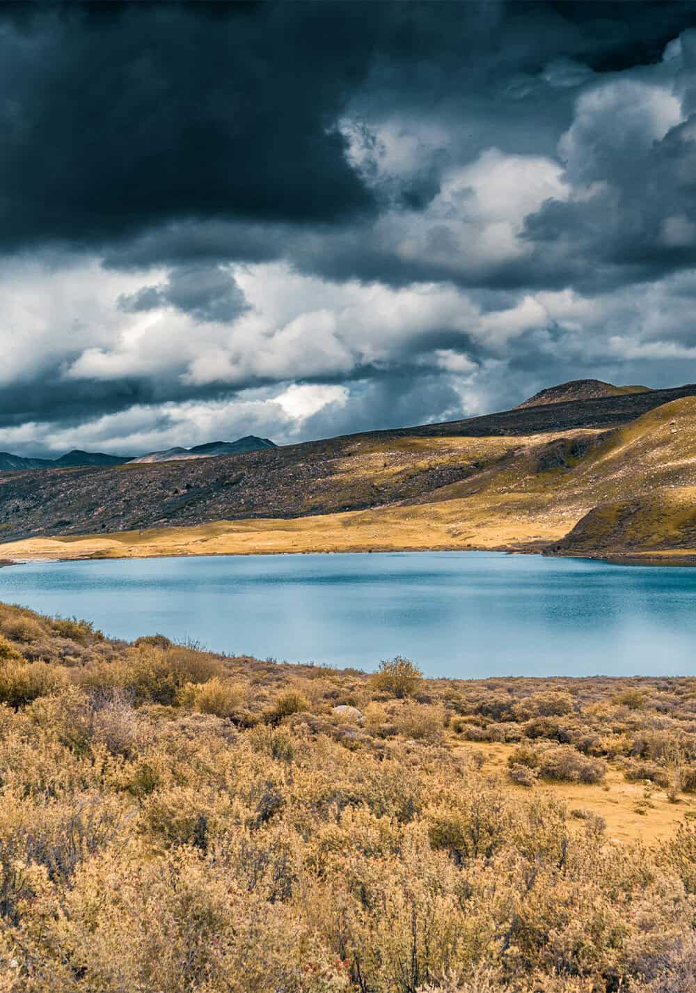 Natural Resources (CoE)